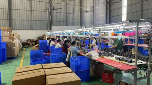 點(diǎn)贊！化州這個(gè)鎮(zhèn)“微工廠(chǎng)”遍地開(kāi)花，留守婦女掙錢(qián)顧家兩不誤